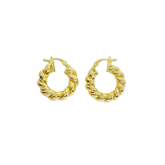 Twisted tube Earrings
